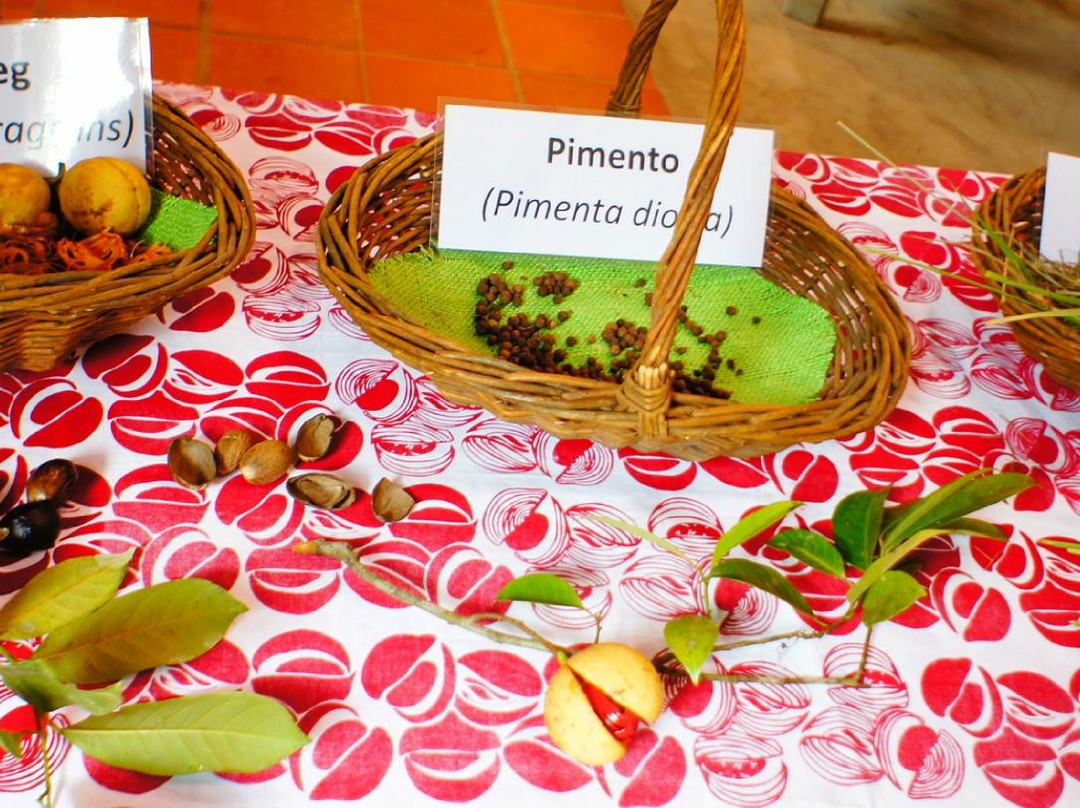 West India Spices Inc.-Nianganfoix必去景点