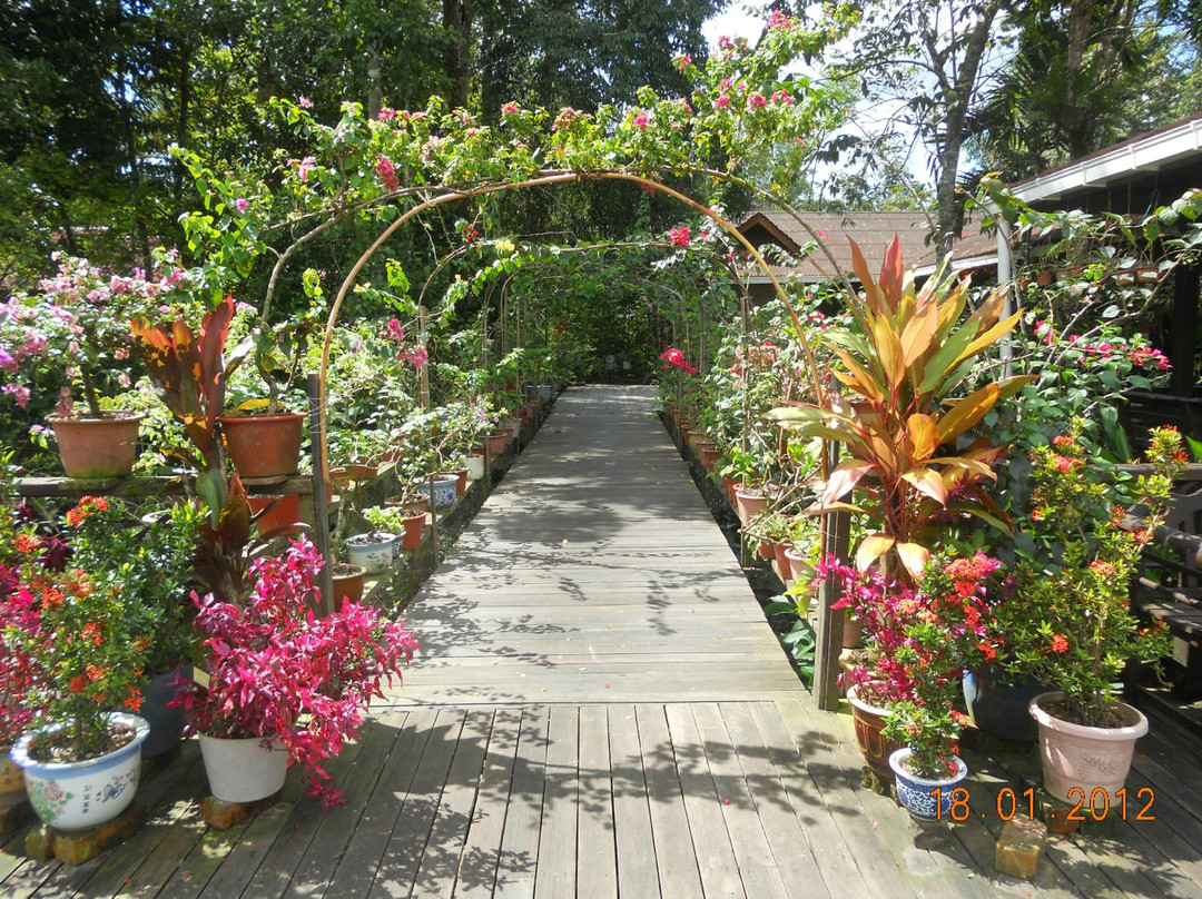 All Borneo Connection - Day Tours-亚庇必去景点