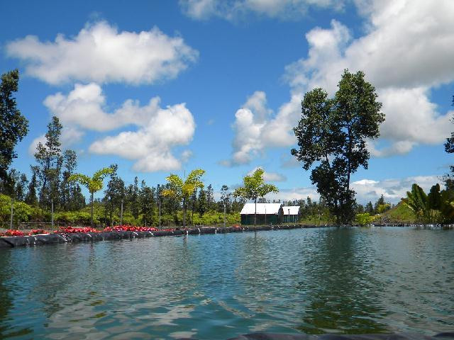 Buccaneer Garden Aquaculture Research Academy