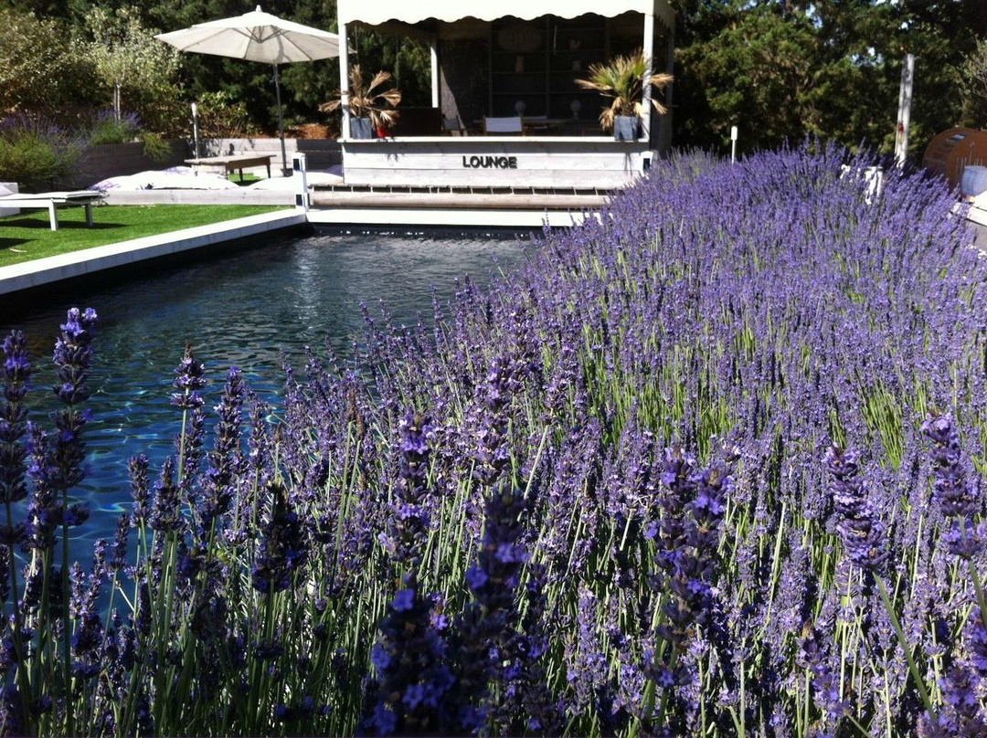 L'Auberge de l'Aubergine主图