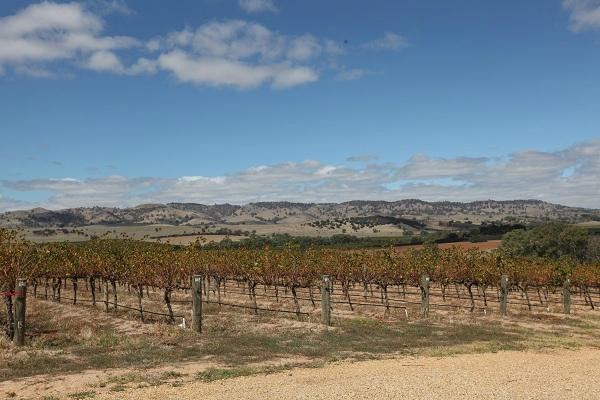 God's Hill Wines & Ennia Cucina景点图片