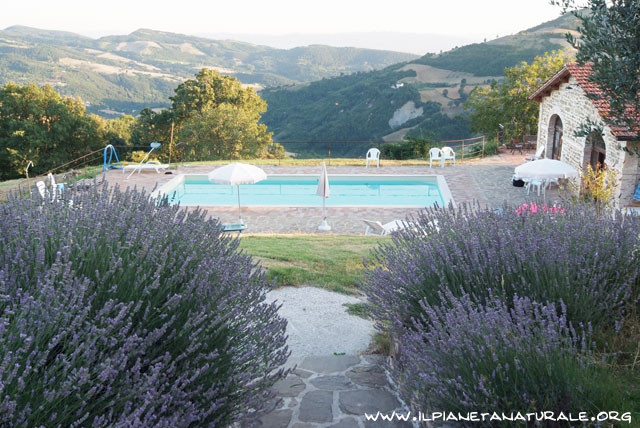 Agriturismo Ca'Mazzetto