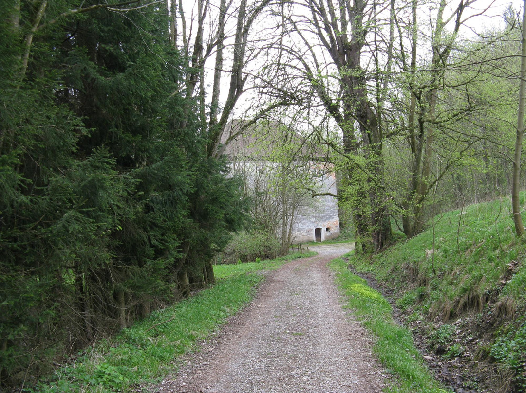 Burgruine Altwartenburg-Timelkam必去景点