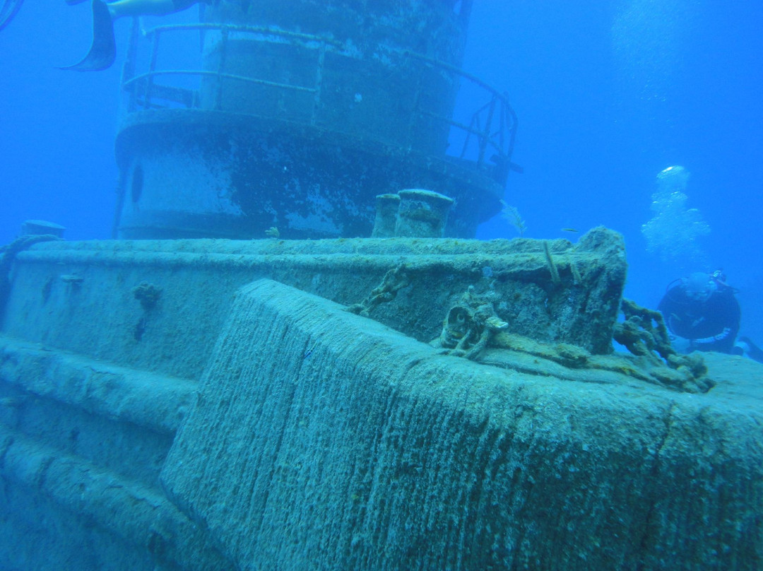 Stuart Cove's Dive Bahamas-新普罗维登斯岛必去景点