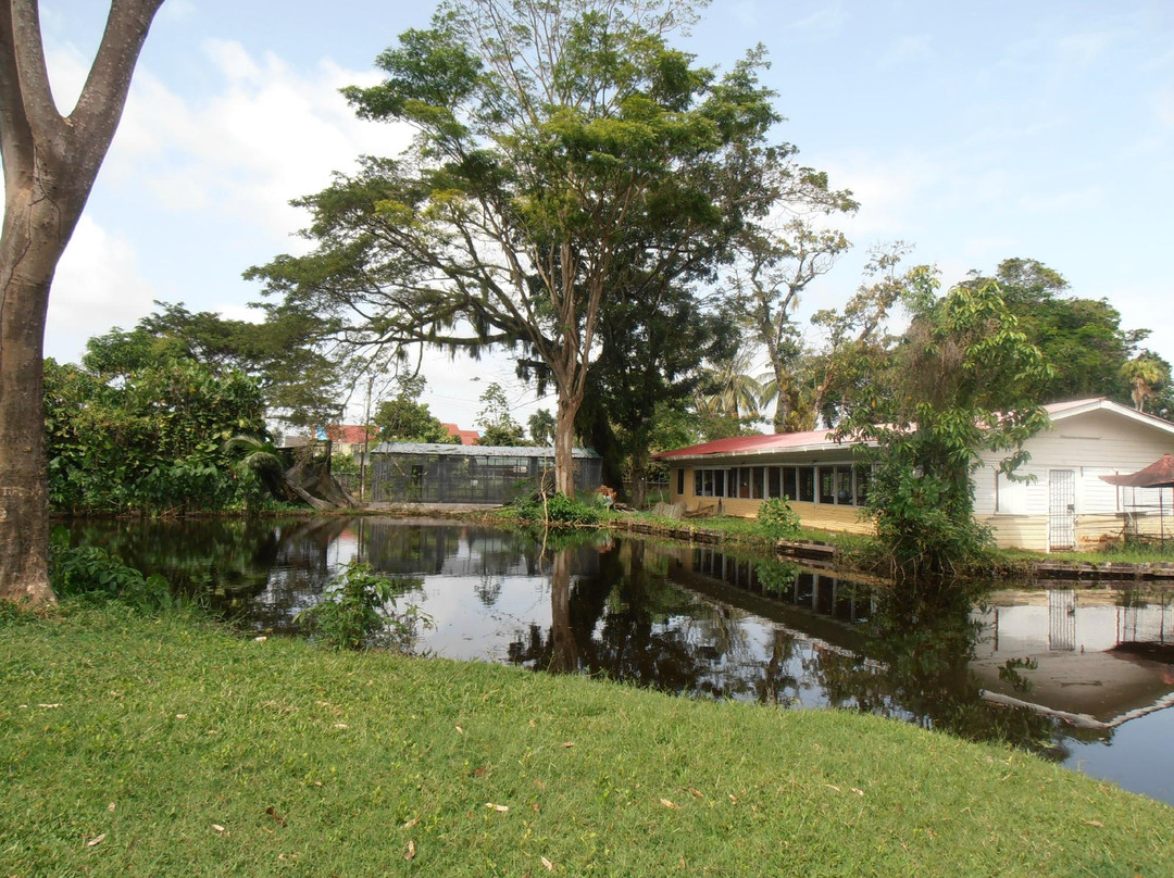 Guyana Botanical Gardens景点图片
