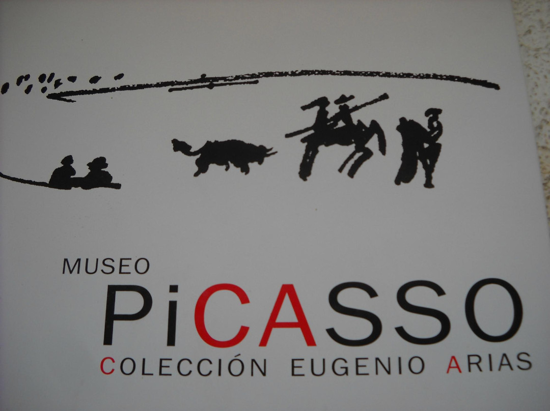 Museo Picasso  Coleccion Eugenio Arias景点图片