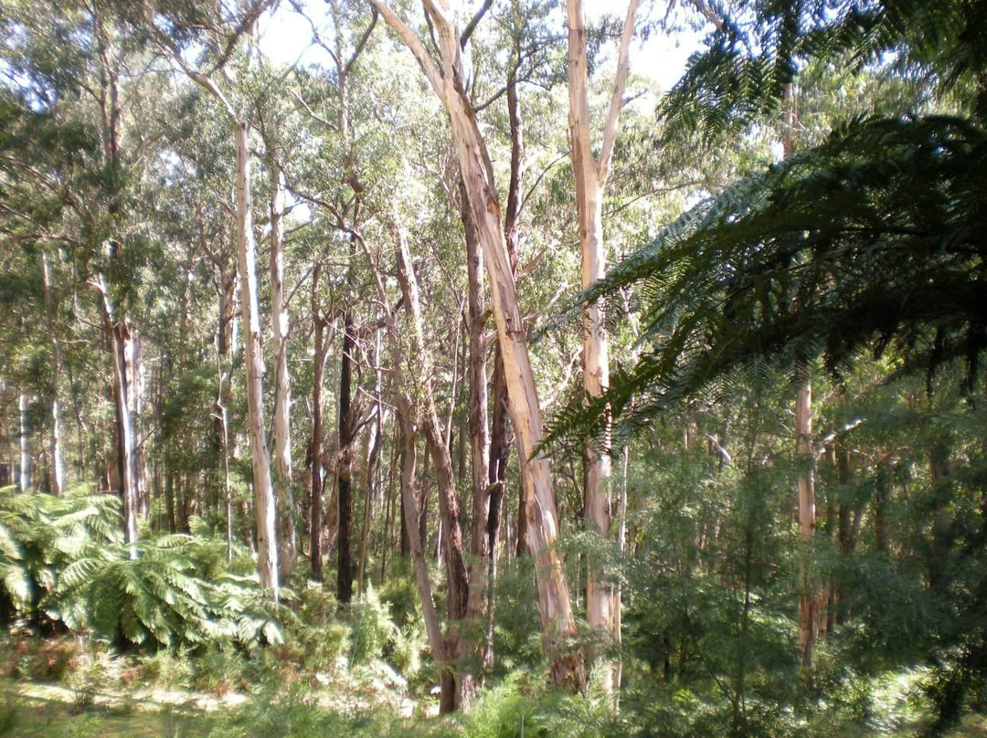 Piaf Day Spa-希尔斯维尔必去景点