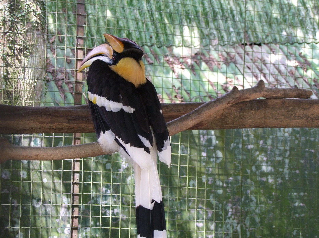 蝴蝶山庄-爱极乐必去景点