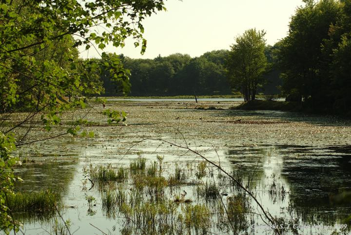 Frontenac Provincial Park-Verona必去景点
