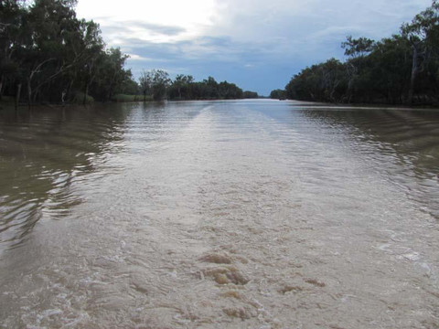 Sandytown River Cruises-St George必去景点