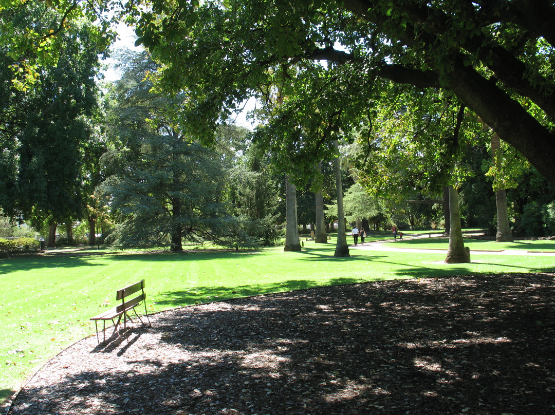 Albury Botanic Garden景点图片