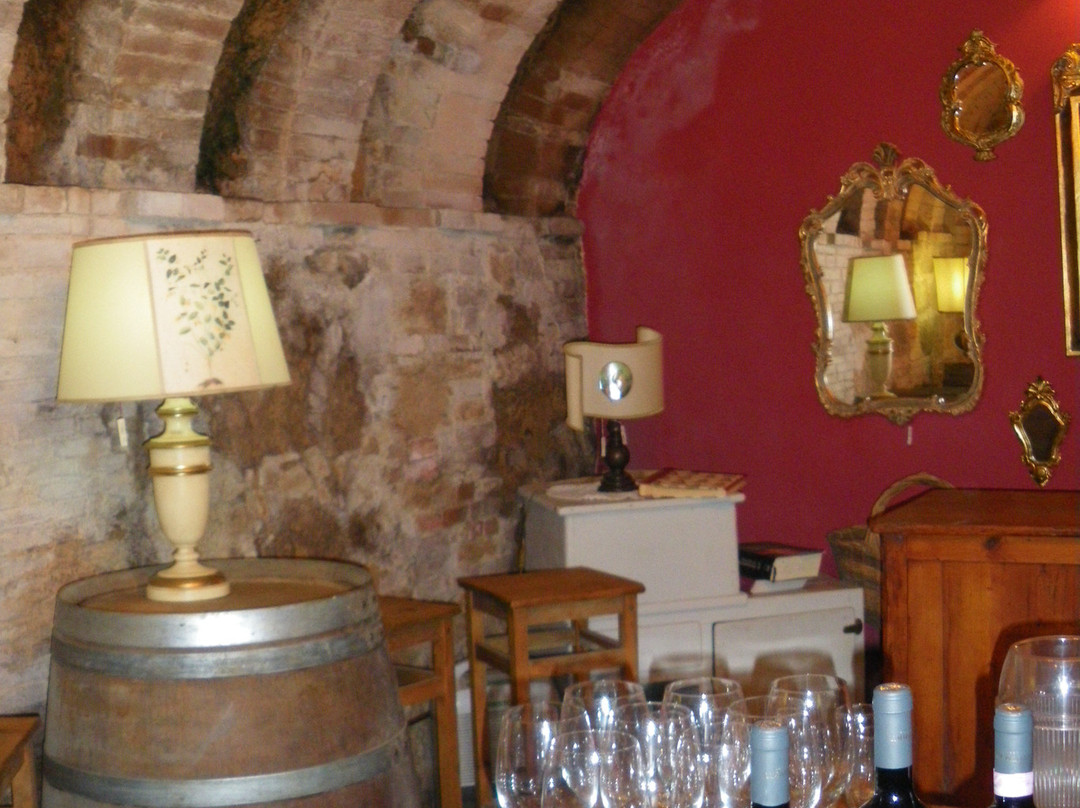Podere La Marronaia- Le Colonne Biodynamic Winery & Farm-圣吉米尼亚诺必去景点
