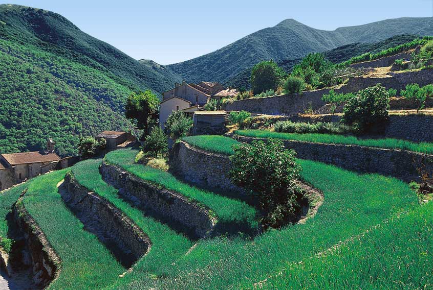 En Cevennes-官方
