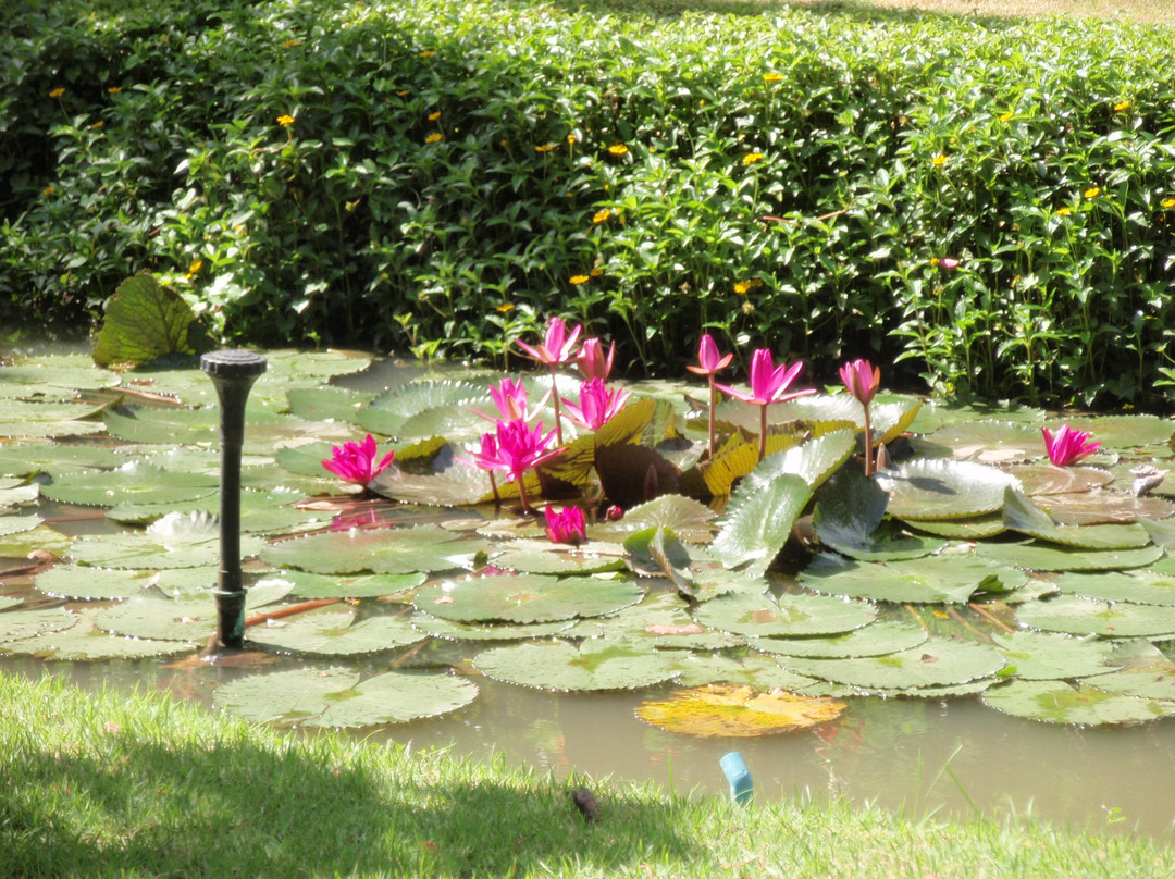 King Rama II Memorial Park景点图片