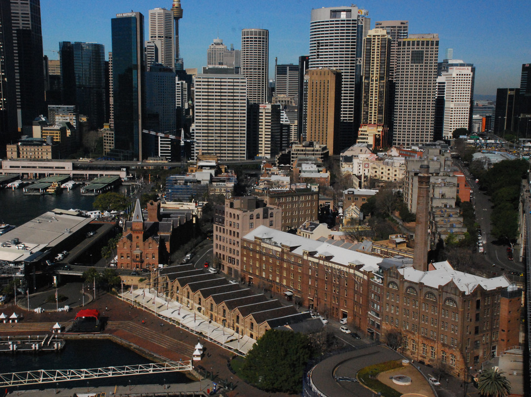 攀桥活动-悉尼必去景点