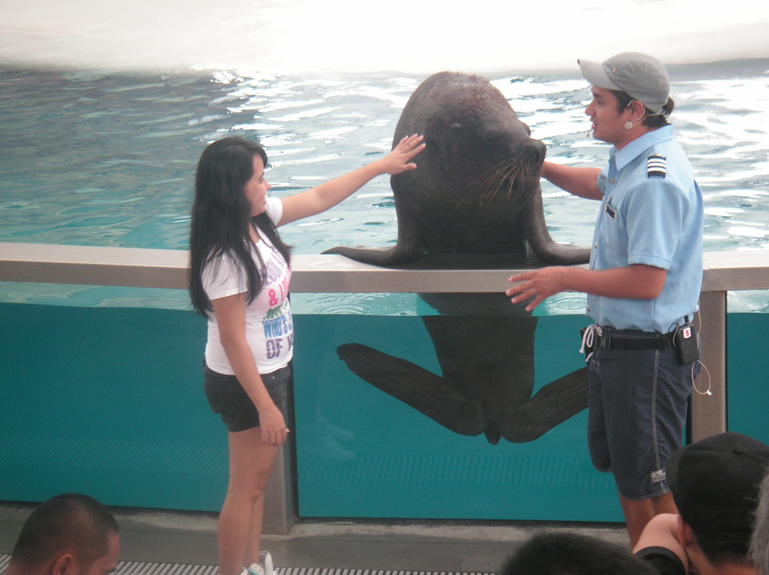 Ocean Adventure-苏比克湾自由贸易区必去景点