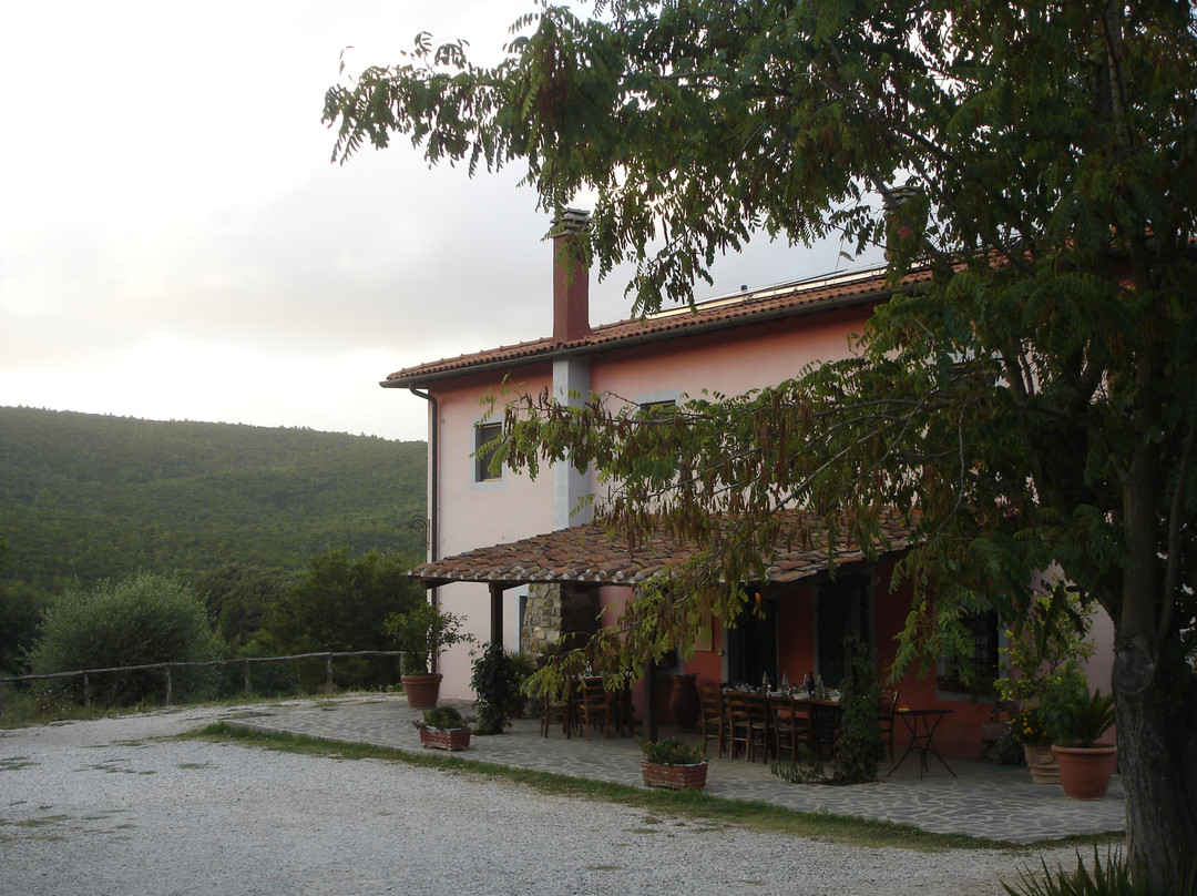 Azienda Agricola Podere I Livelli