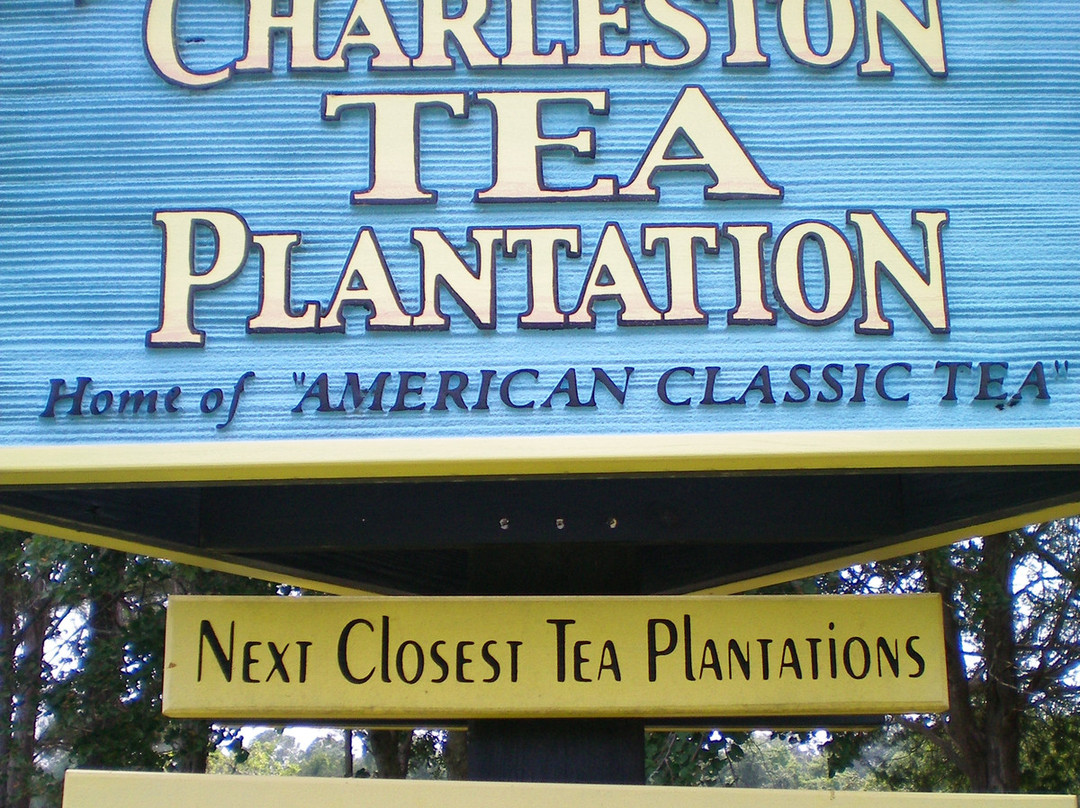 Charleston Tea Garden景点图片