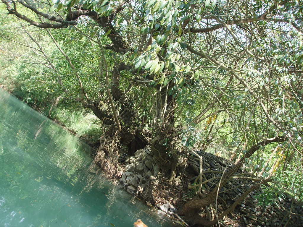 罗平多依河-罗平县必去景点