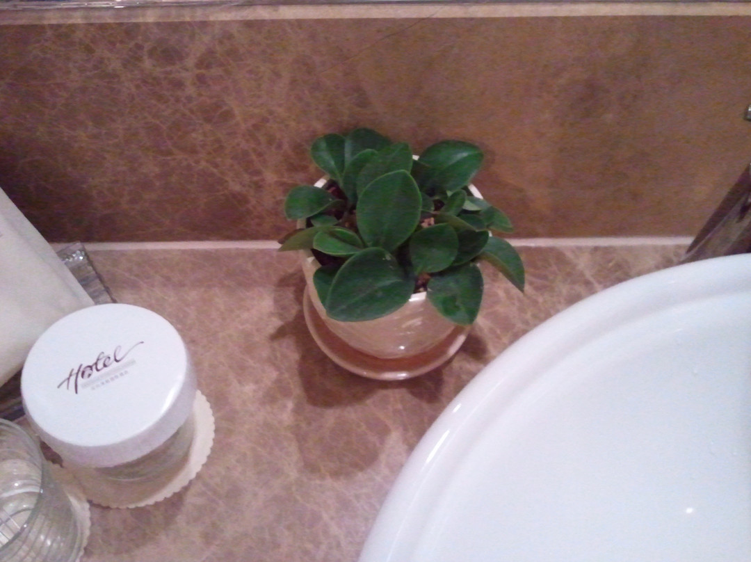 深航国际酒店主图