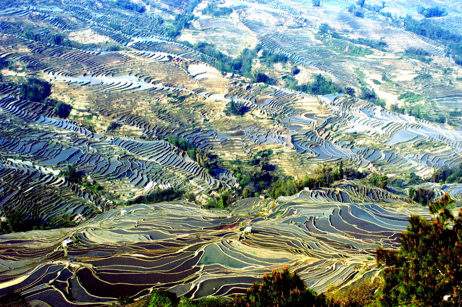 哈尼梯田-2011年4月7日上传的实拍图
