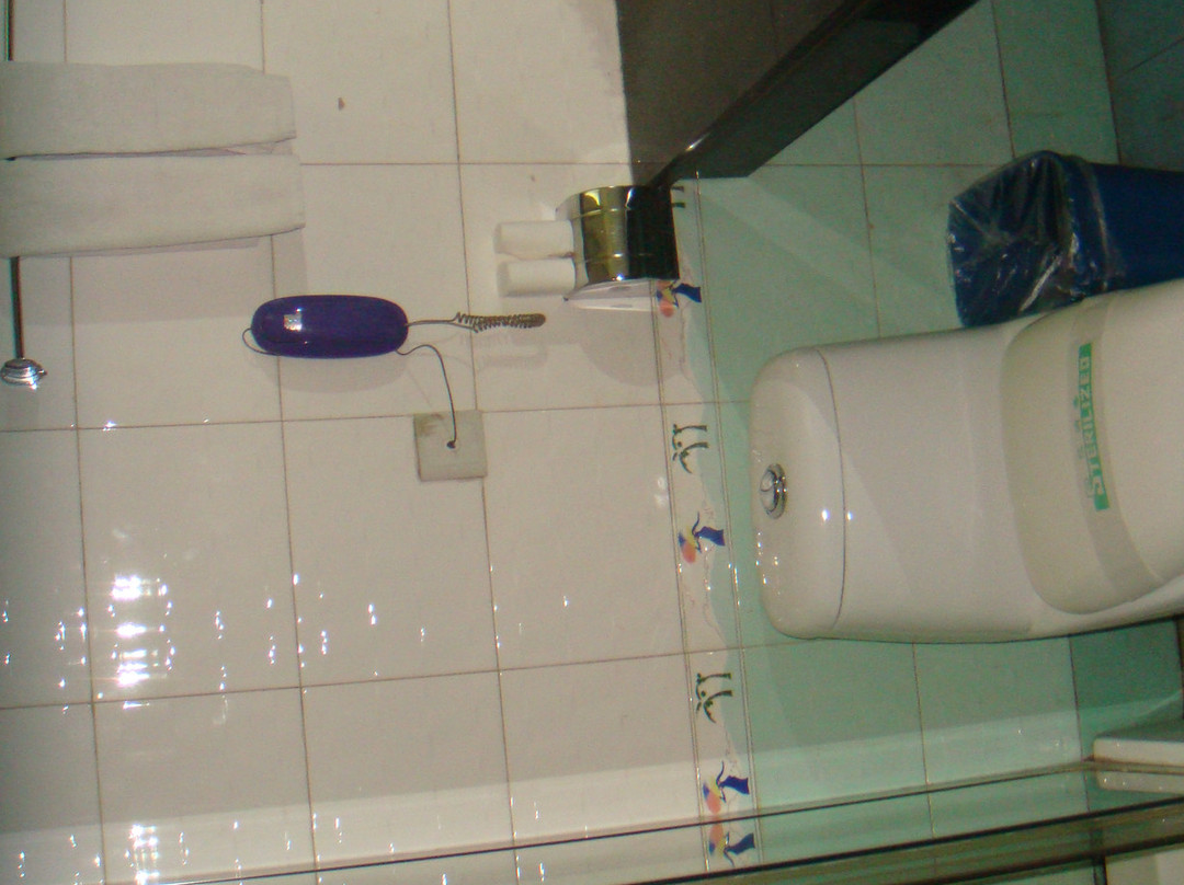 金龙大酒店主图