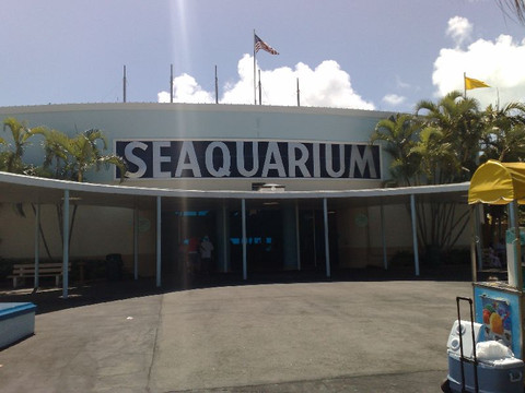 迈阿密水族馆-迈阿密必去景点