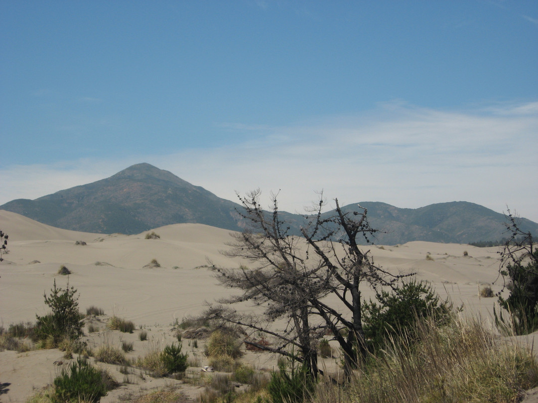 Ritoque Expeditions-Concon必去景点