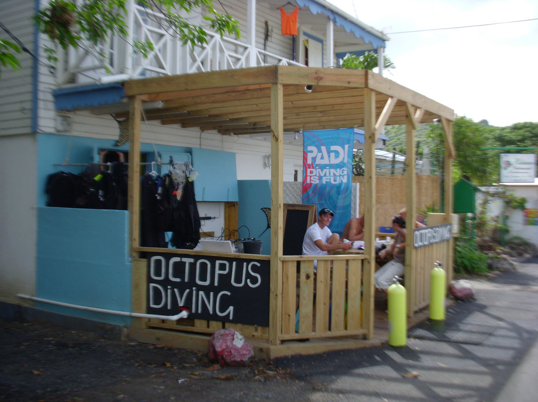 Octopus Diving-格兰德凯斯必去景点