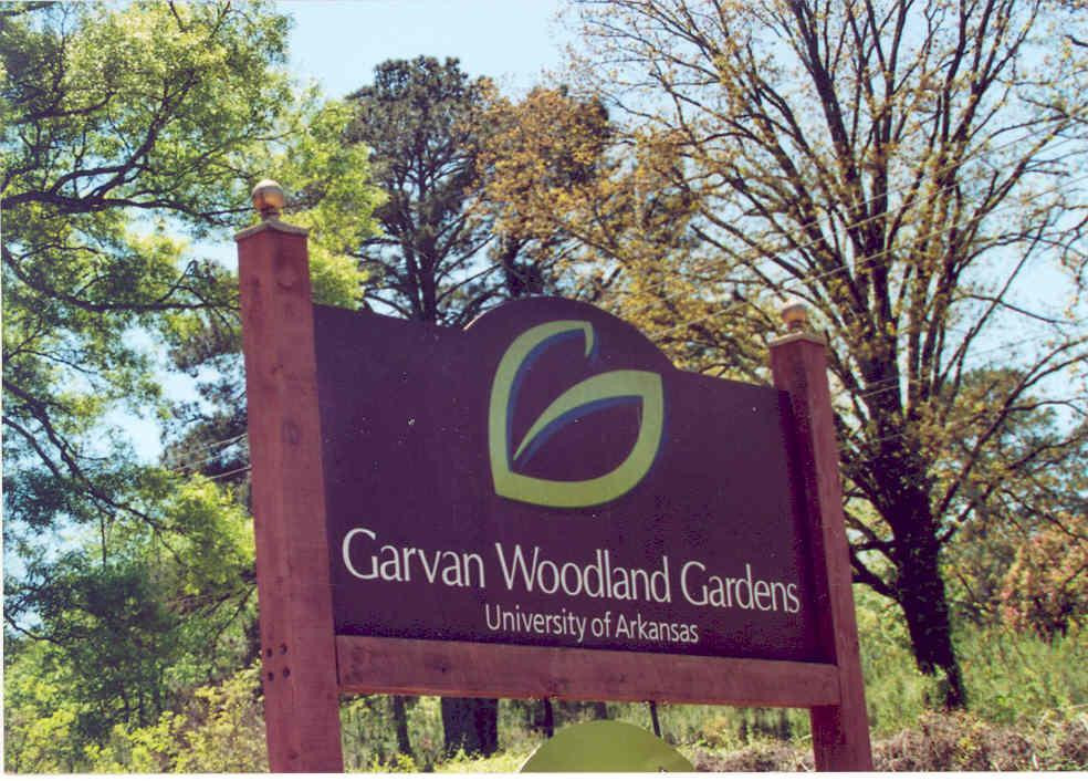 Garvan Woodland Gardens景点图片