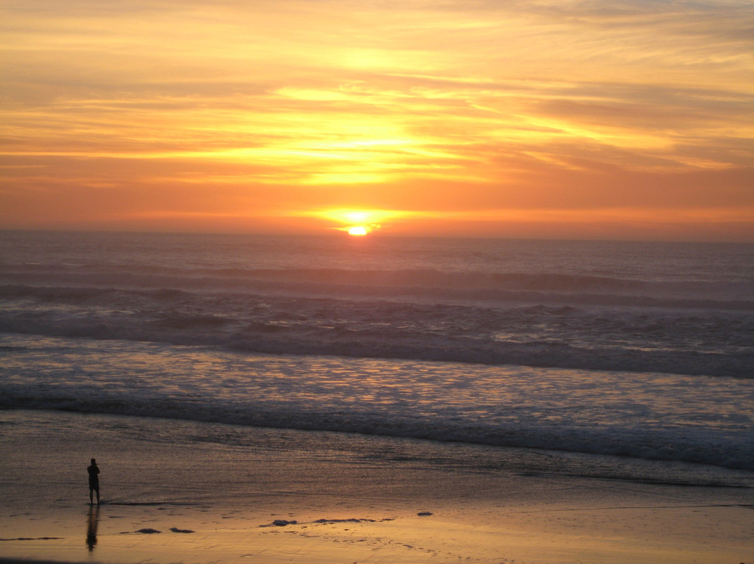 San Gregorio State Beach-San Gregorio必去景点