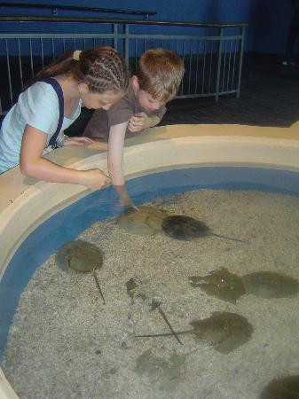 莱利大烟山水族馆-盖林柏格必去景点
