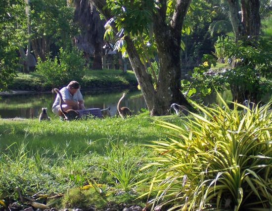那不勒斯植物园-那不勒斯必去景点