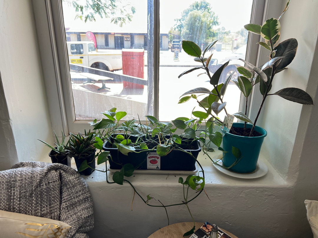 Whim Creek餐馆和美食-Ieramugadu (Roebourne) Café and Gallery