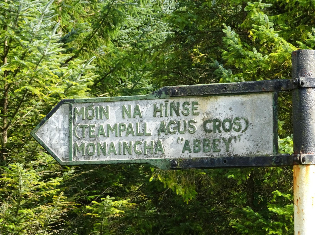 Monaincha Abbey-Roscrea必去景点