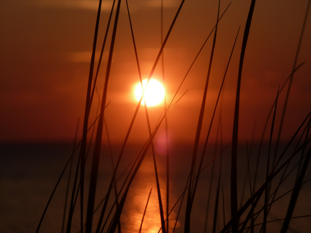 Corn Hill Beach景点图片