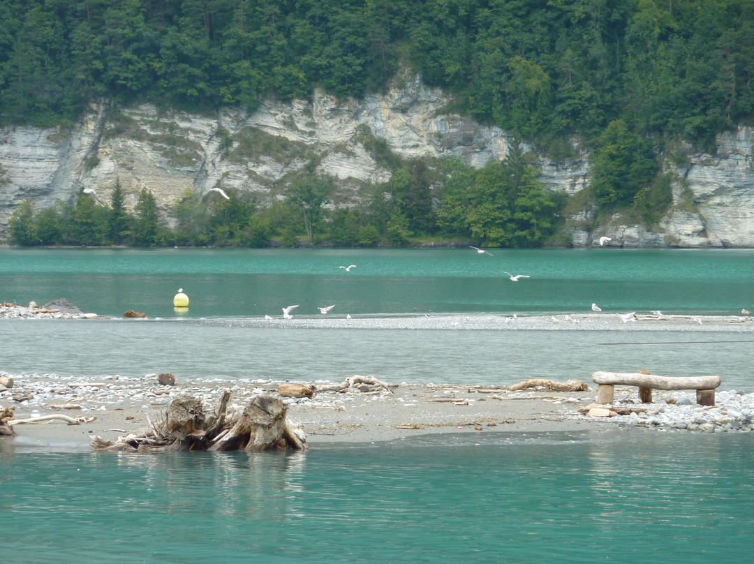 Lake Brienz-布里恩茨必去景点