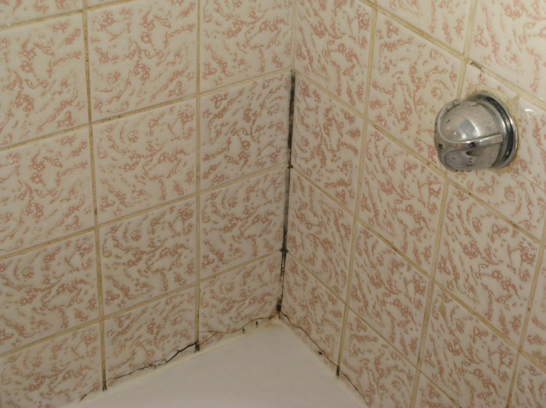 Motel Auberge de l'Anse