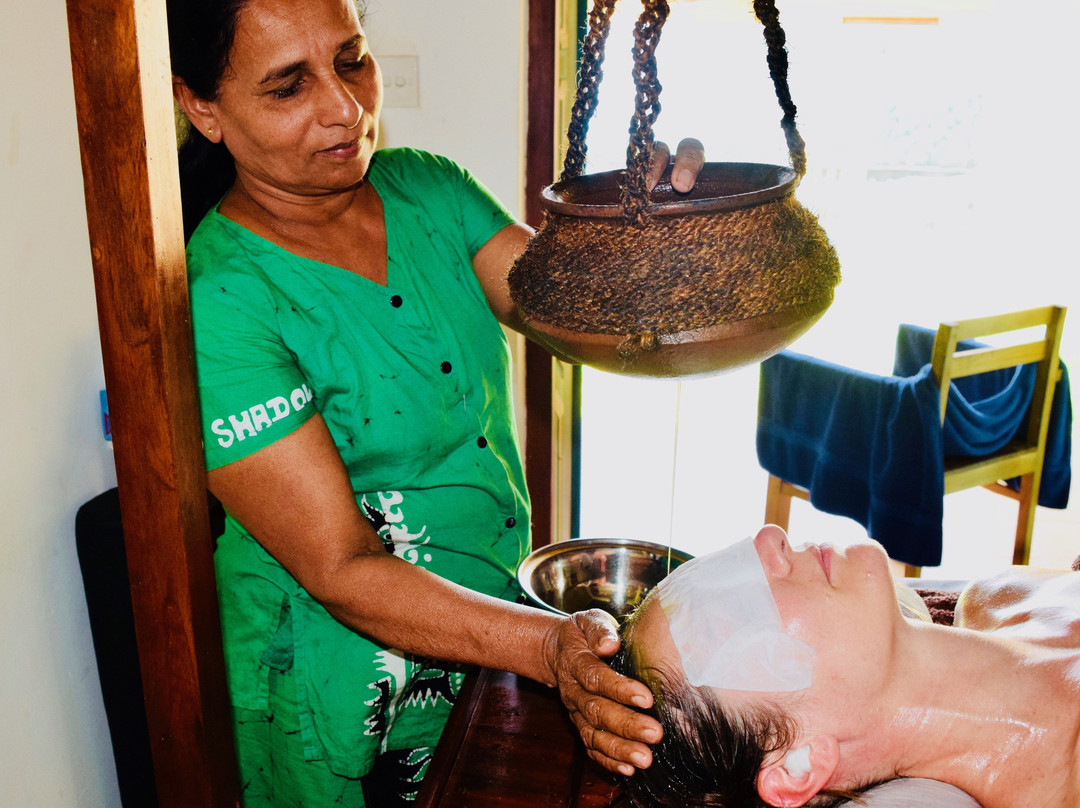 Rico Shadow Guest House and Restaurant主图