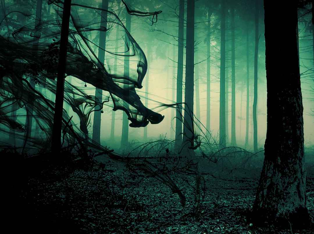 Occulto Escape Room - La Prima Escape Room di Parma!景点图片