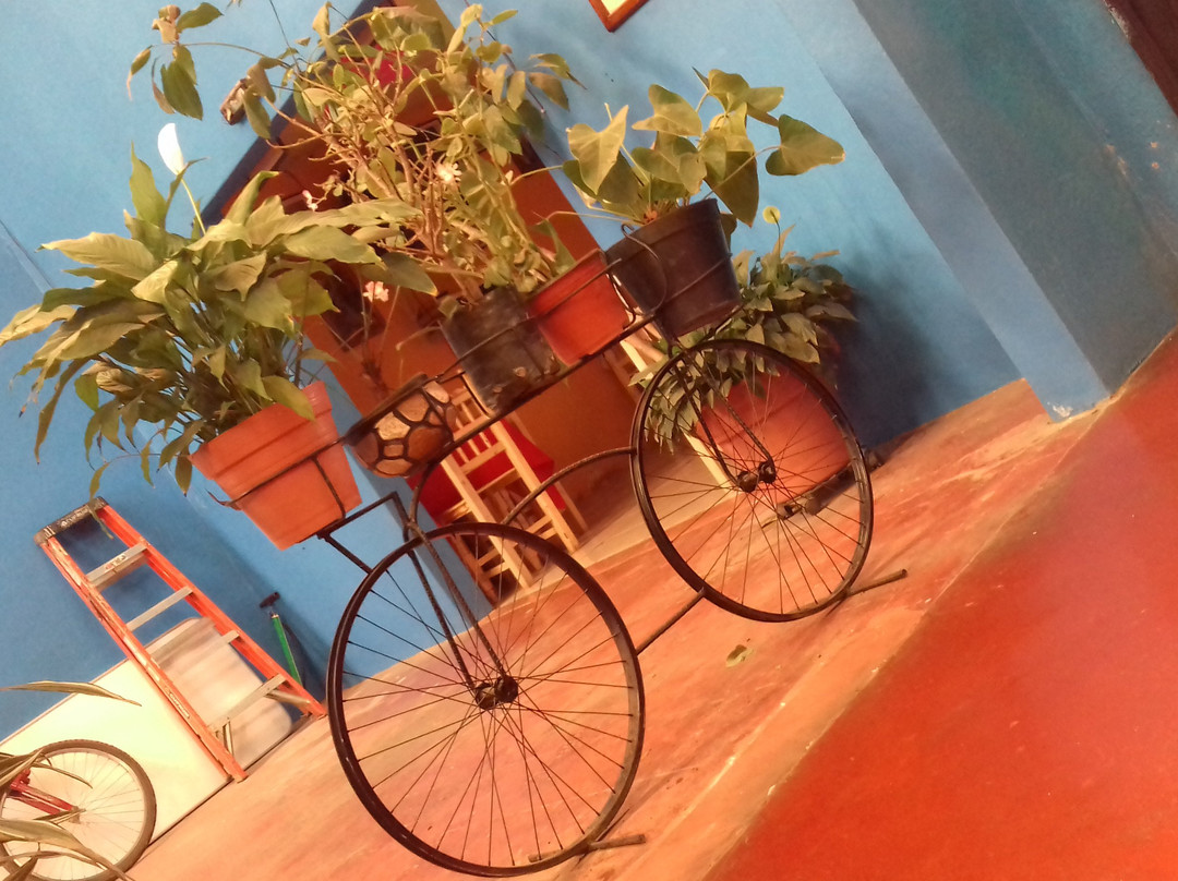 Ocotlán de Morelos餐馆和美食-La Ballena Azul