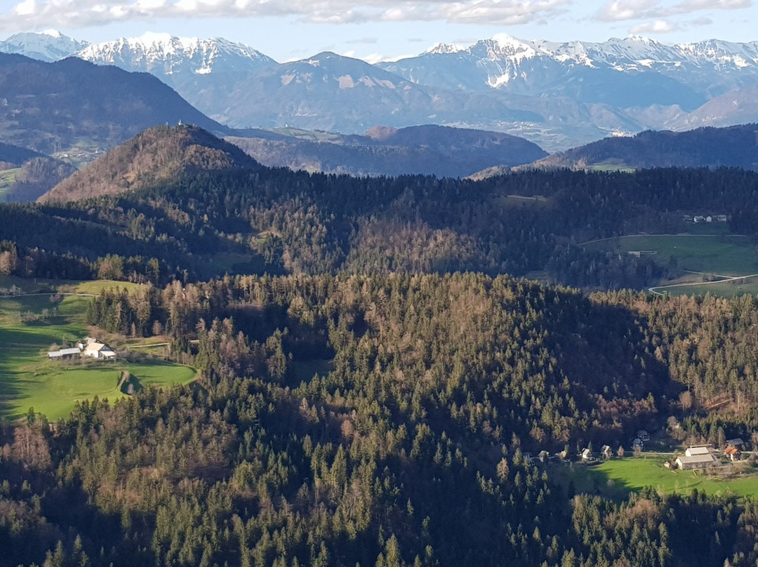 Poljane nad Skofjo Loko餐馆和美食-Gostisce in Penzion Stari Vrh