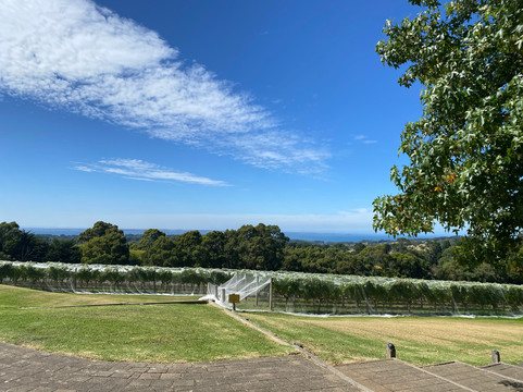 Rick's Tours Australia-墨尔本必去景点