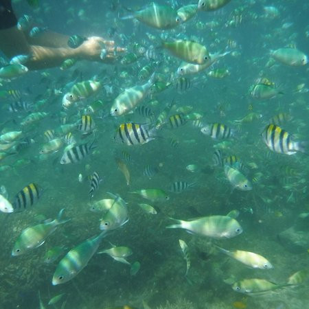 Gilutongan Island-宿雾必去景点