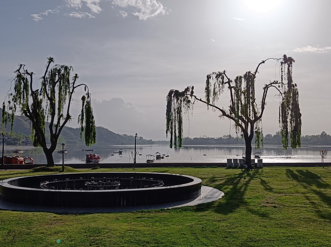 Manasbal Lake景点图片