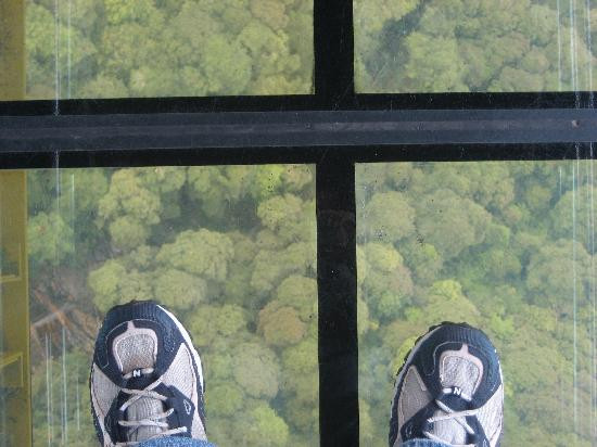 蓝山绝景世界-卡通巴必去景点