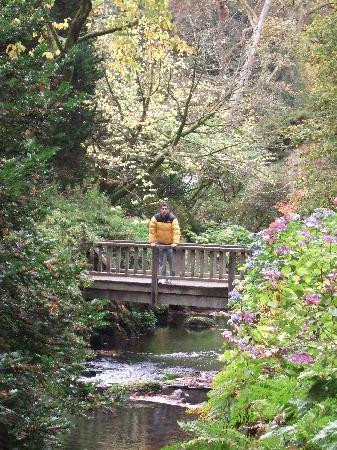 Bodnant Garden景点图片