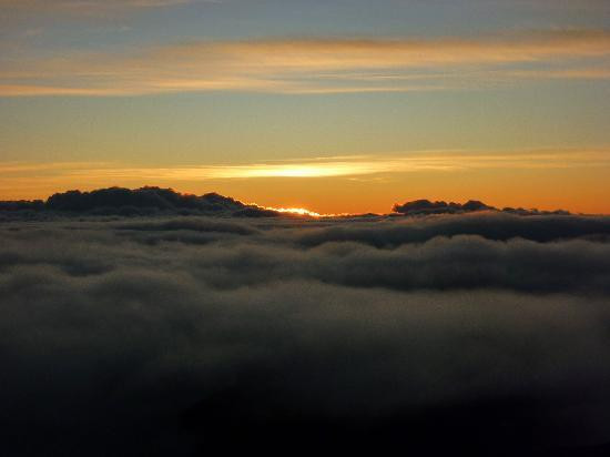 Cruiser Phil's-卡胡卢伊必去景点