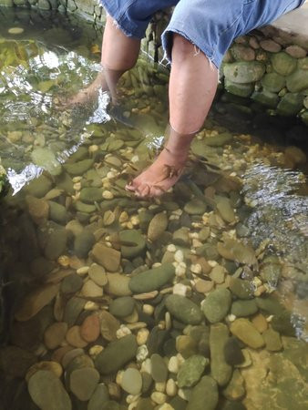 Kuyba Almoneca Meditation Garden-公主港必去景点