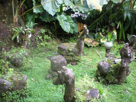 Papillote Tropical Gardens-罗索必去景点